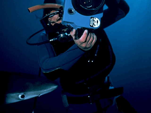 Diver photographing blue shark